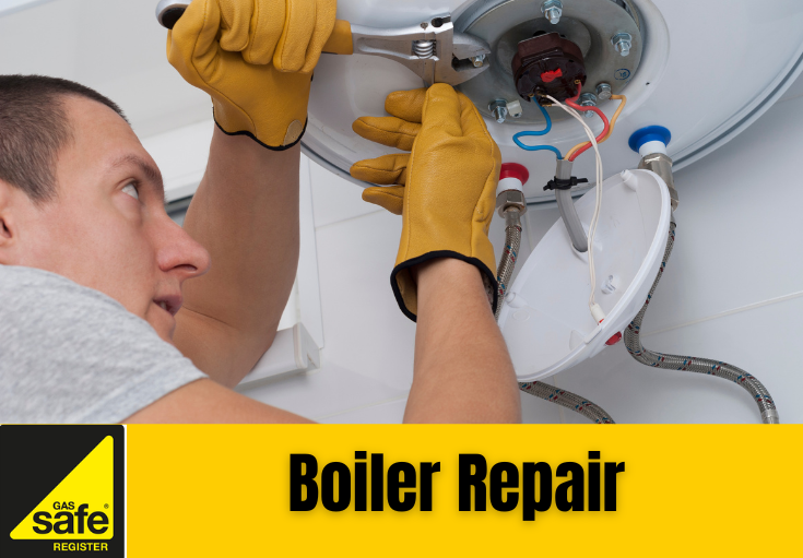 boiler repair Welling
