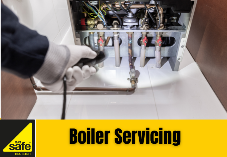 boiler service Welling